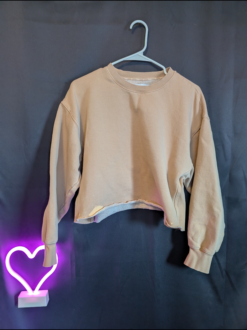 TNA Cropped Crewneck Sweatshirt in Beige Oversized Aritzia Baggy